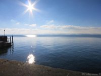 Bodensee-07.01.2017-003