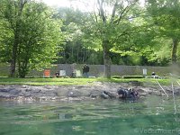 Attersee-26.05.2016-002