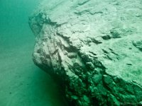 Attersee-289-30.04.2017-009