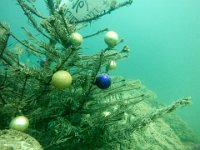 Attersee-289-30.04.2017-022