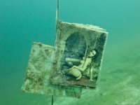 Attersee-289-30.04.2017-030