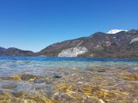 Attersee-289-30.04.2017-040