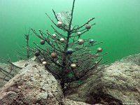 Attersee-10-11.03.2018-20