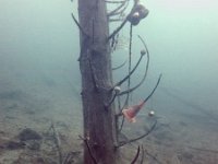 Attersee-10-11.03.2018-25