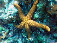 Kroatien-2018-02
