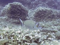 Kroatien-2018-05