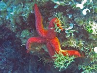Kroatien-2018-06