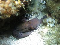 Kroatien-2018-16