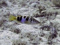 Kroatien-2018-20