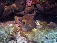 Kroatien-2018-25a