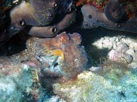 Kroatien-2018-26
