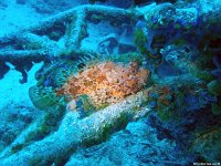 Kroatien-2018-29