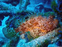 Kroatien-2018-30