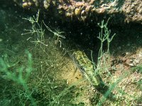 Attersee06.10.2018-02