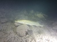 Attersee27.10.2018-07
