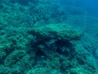 64Kroatien-Insel Murter vom 14.08. - 21.08.2019