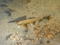 13Mondsee-13.01.2022