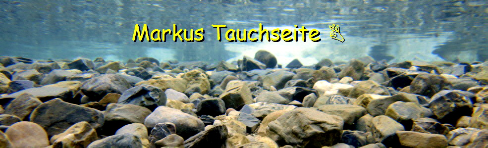 Tauchseite Tauchen in heimischen Gewaessern wie Chiemsee Starnbergersee